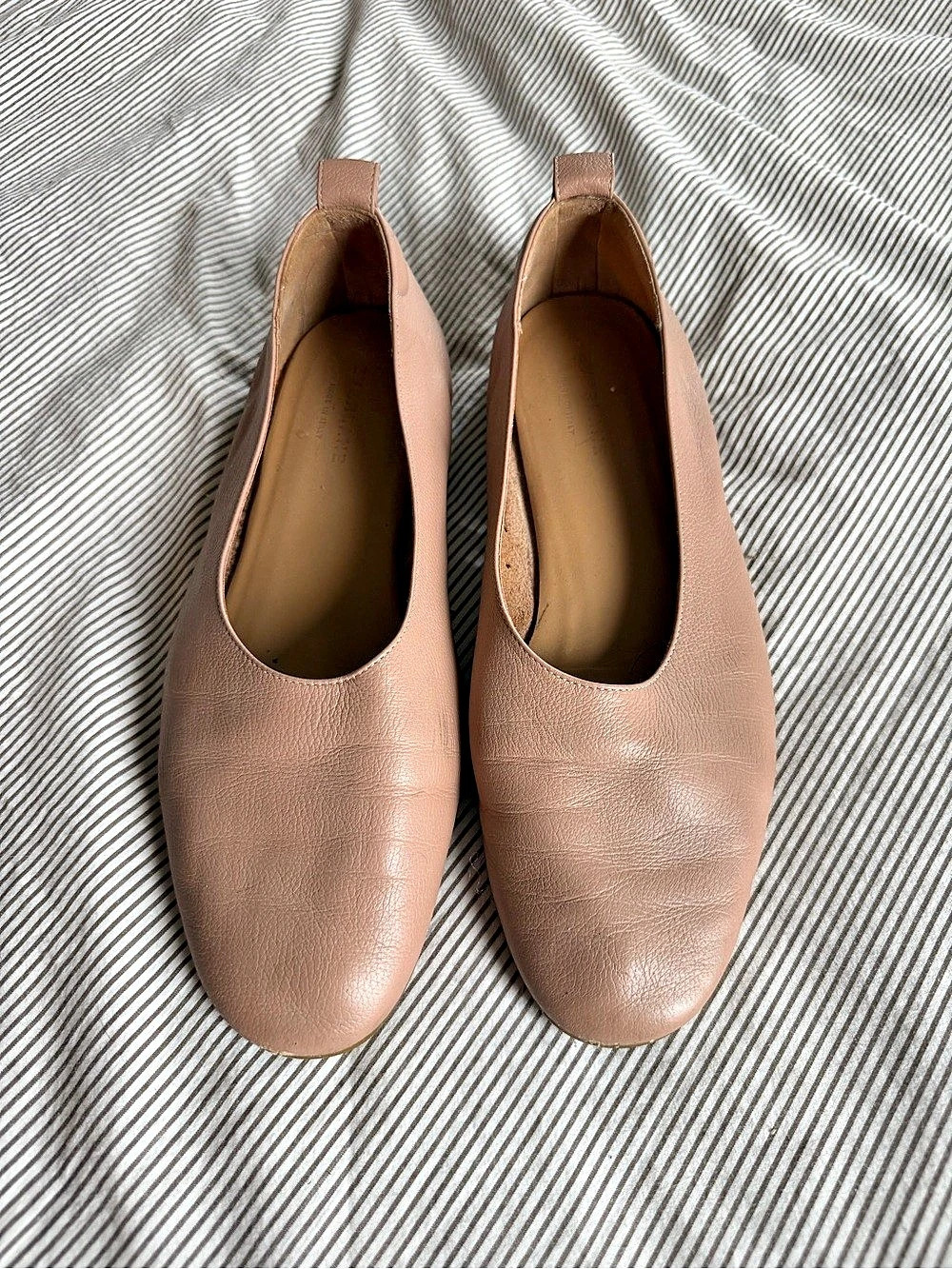 Everlane The Day Glove Pointed-Toe Flats in Brown